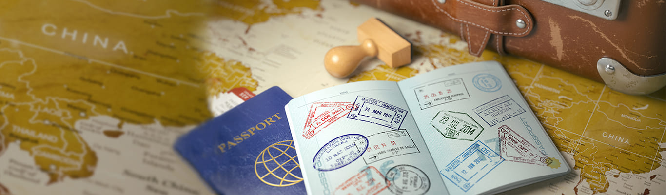 visa booking engine software